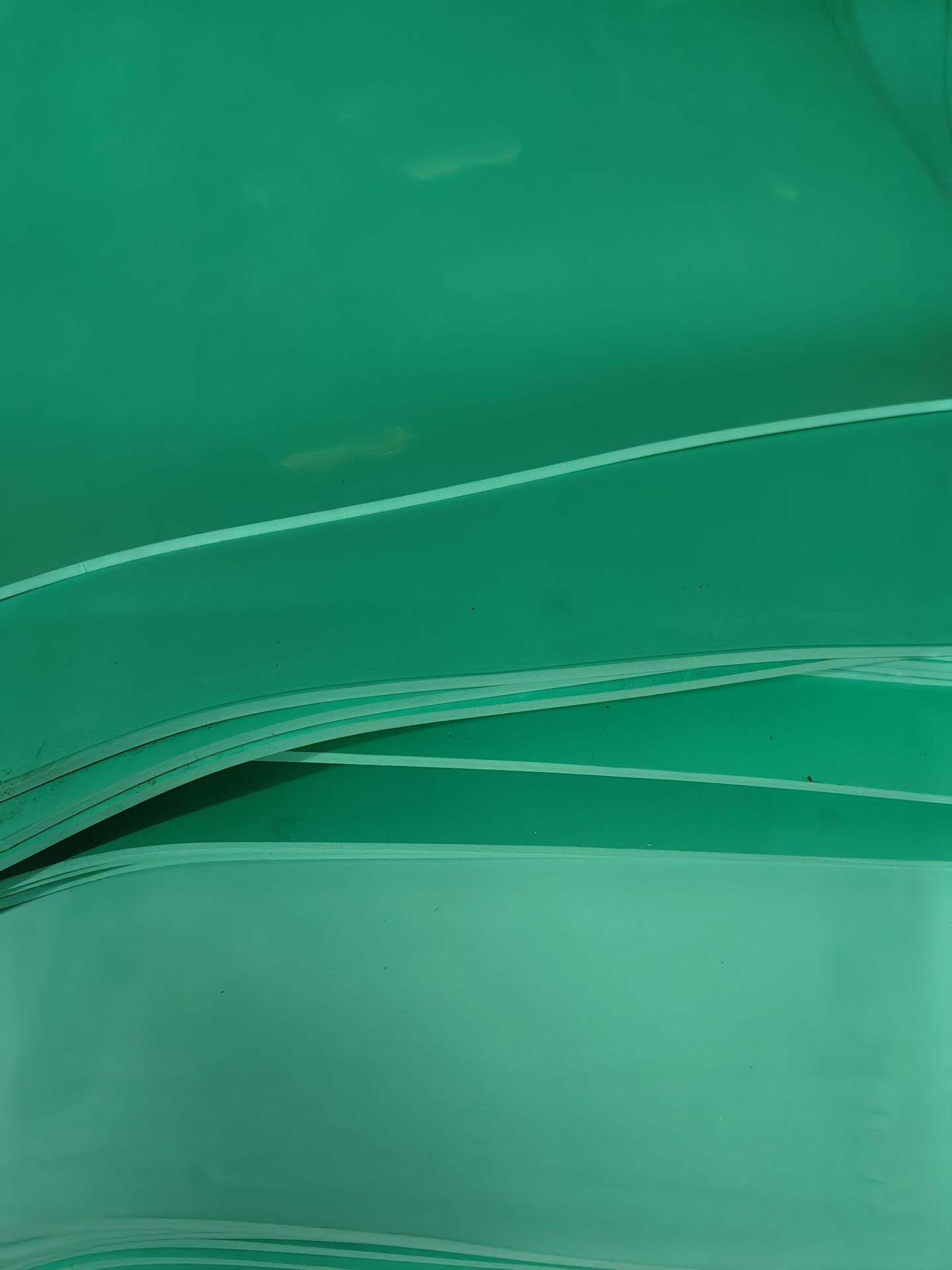 ��ɫ�ߵ���